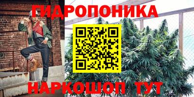 трава Славгород
