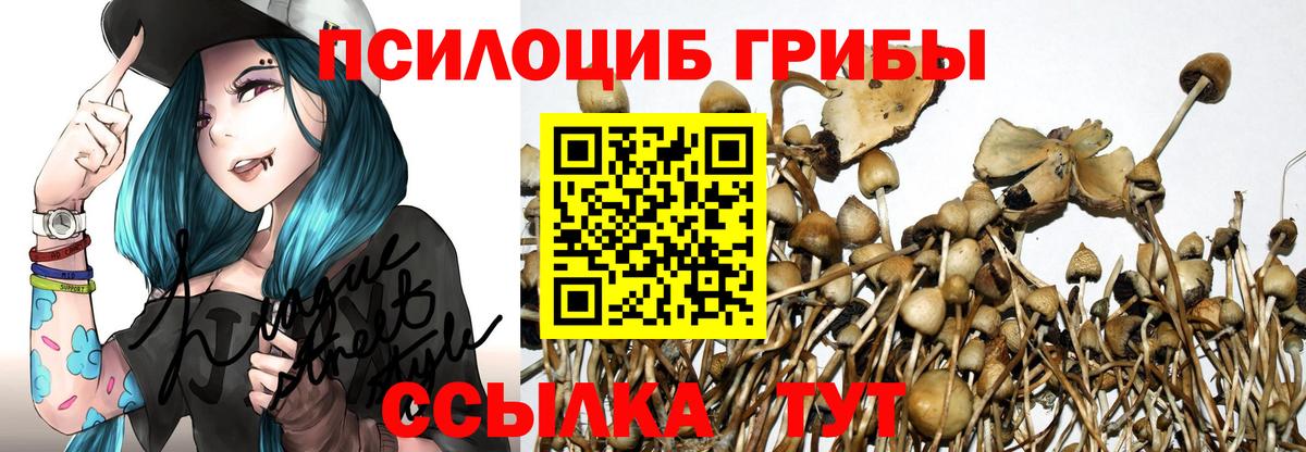 Псилоцибиновые грибы Magic Shrooms Тула