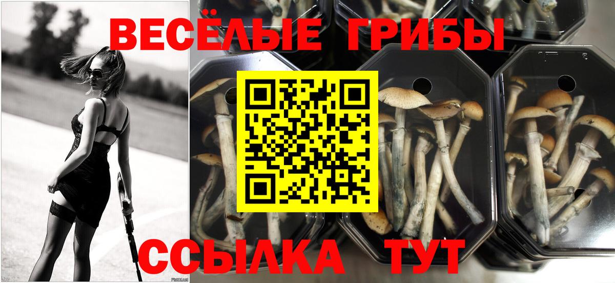 где найти наркотики  Галлюциногенные грибы ЛСД  Вход с VPN  Тула 